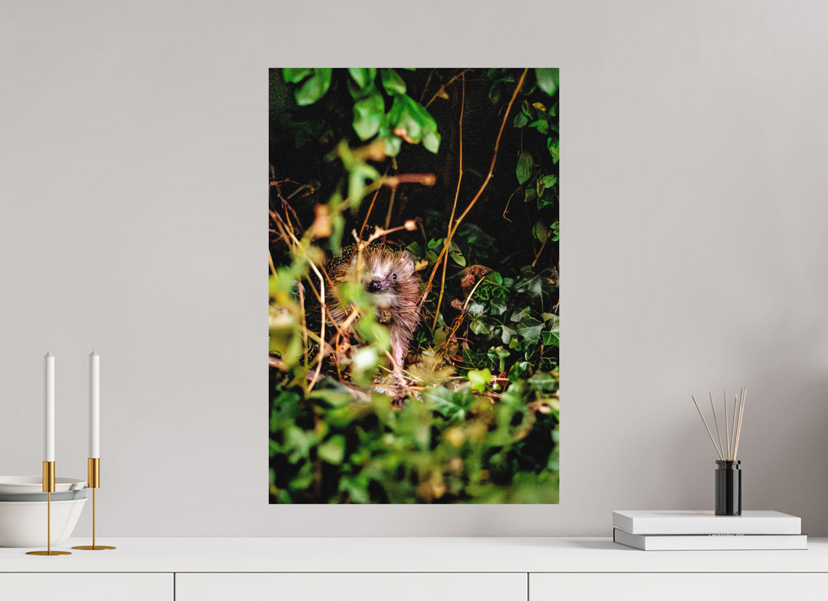 40 x 60 cm, Hahnemühle Fine Art Paper Hedgehog