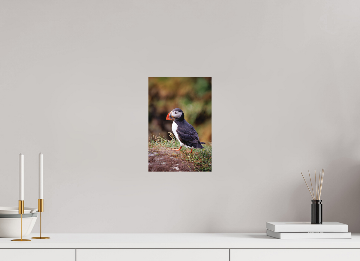 20 x 30 cm, Hahnemühle Fine Art Paper Puffin