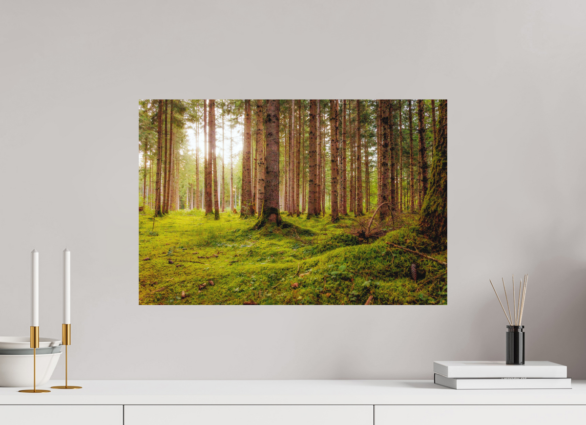 60 x 40 cm, Hahnemühle Fine Art Paper Perlacher Forst