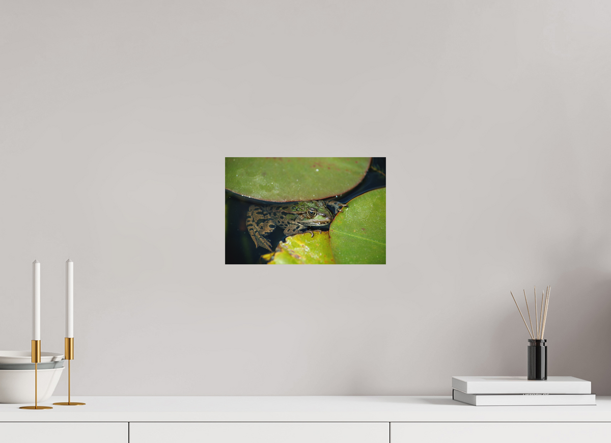 30 x 20 cm, Hahnemühle Fine Art Paper Frog