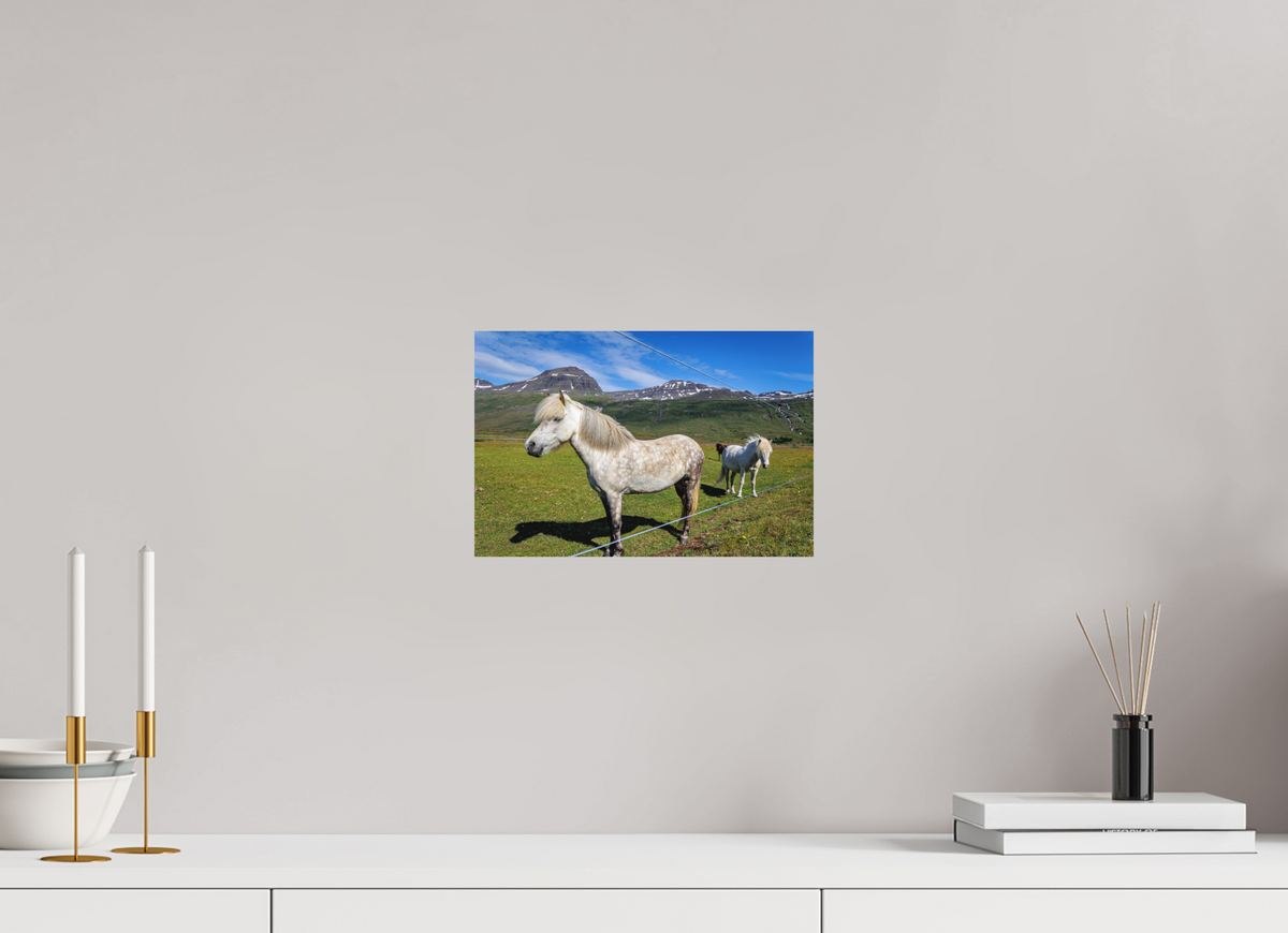 30 x 20 cm, Hahnemühle Fine Art Paper Horse Trio