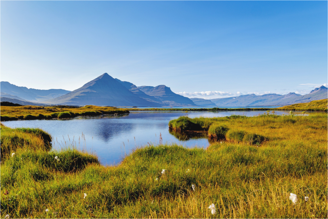 Main image Wetland Landscape