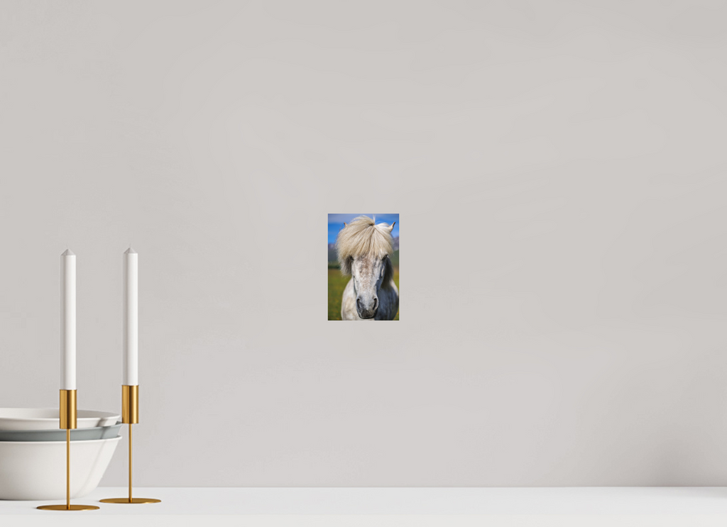 10 x 15 cm, Hahnemühle Fine Art Paper Horse Portrait