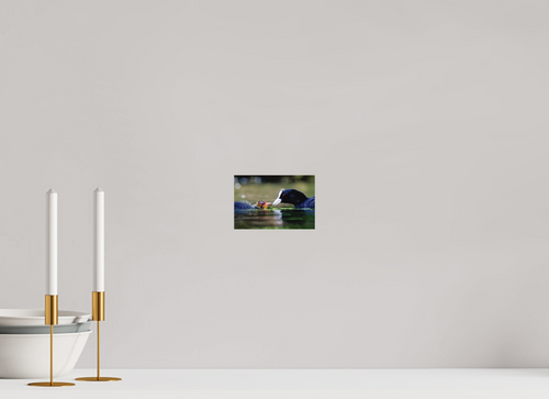 15 x 10 cm, Hahnemühle Fine Art Paper Family Bond