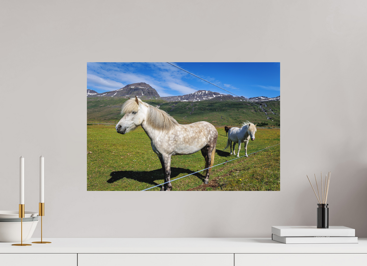 60 x 40 cm, Hahnemühle Fine Art Paper Horse Trio