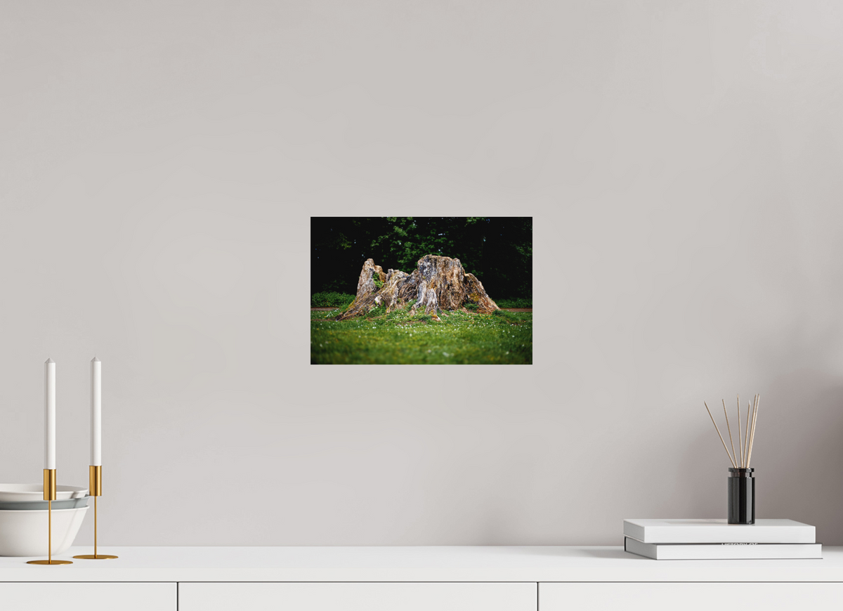 30 x 20 cm, Hahnemühle Fine Art Paper Stump