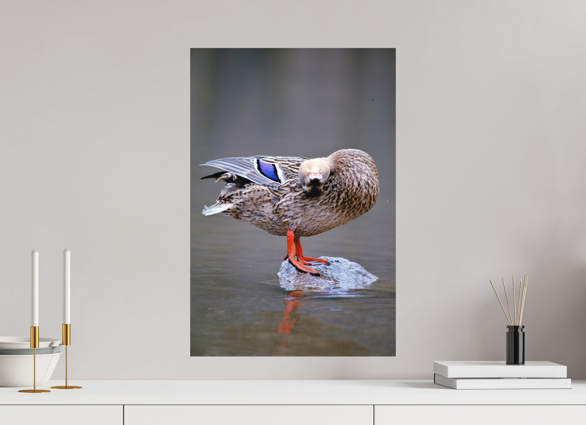 40 x 60 cm, Hahnemühle Fine Art Paper Upside Down