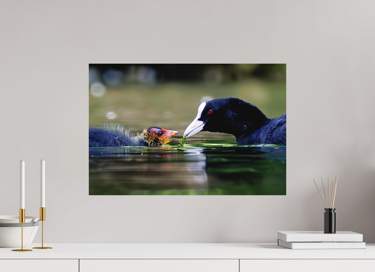 60 x 40 cm, Hahnemühle Fine Art Paper Family Bond