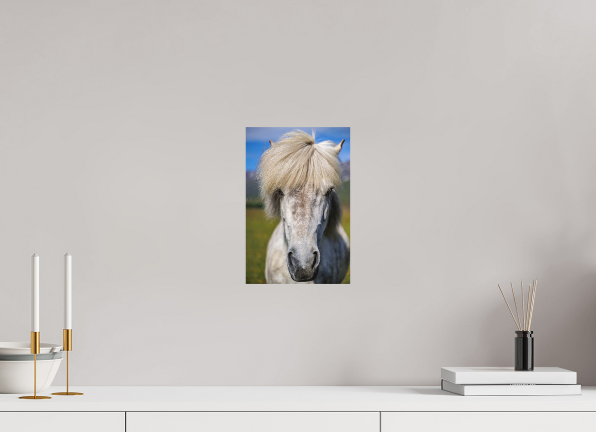 20 x 30 cm, Hahnemühle Fine Art Paper Horse Portrait