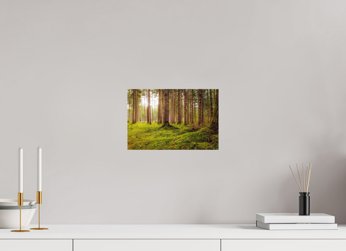 30 x 20 cm, Hahnemühle Fine Art Paper Perlacher Forst
