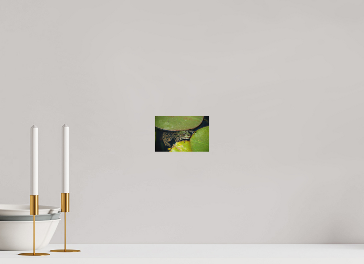 15 x 10 cm, Hahnemühle Fine Art Paper Frog