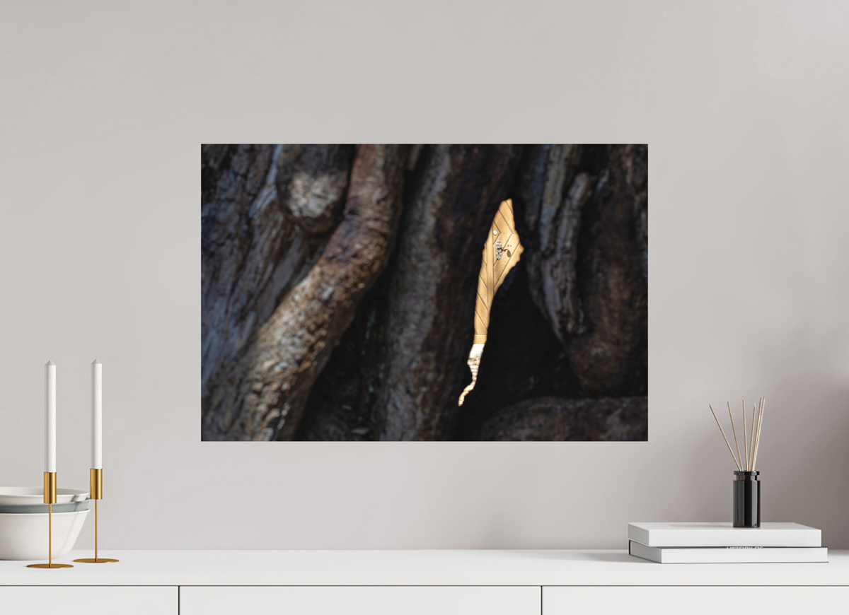 60 x 40 cm, Hahnemühle Fine Art Paper Entrance