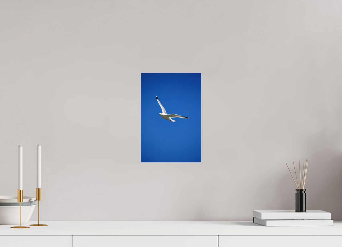 20 x 30 cm, Hahnemühle Fine Art Paper Seagull