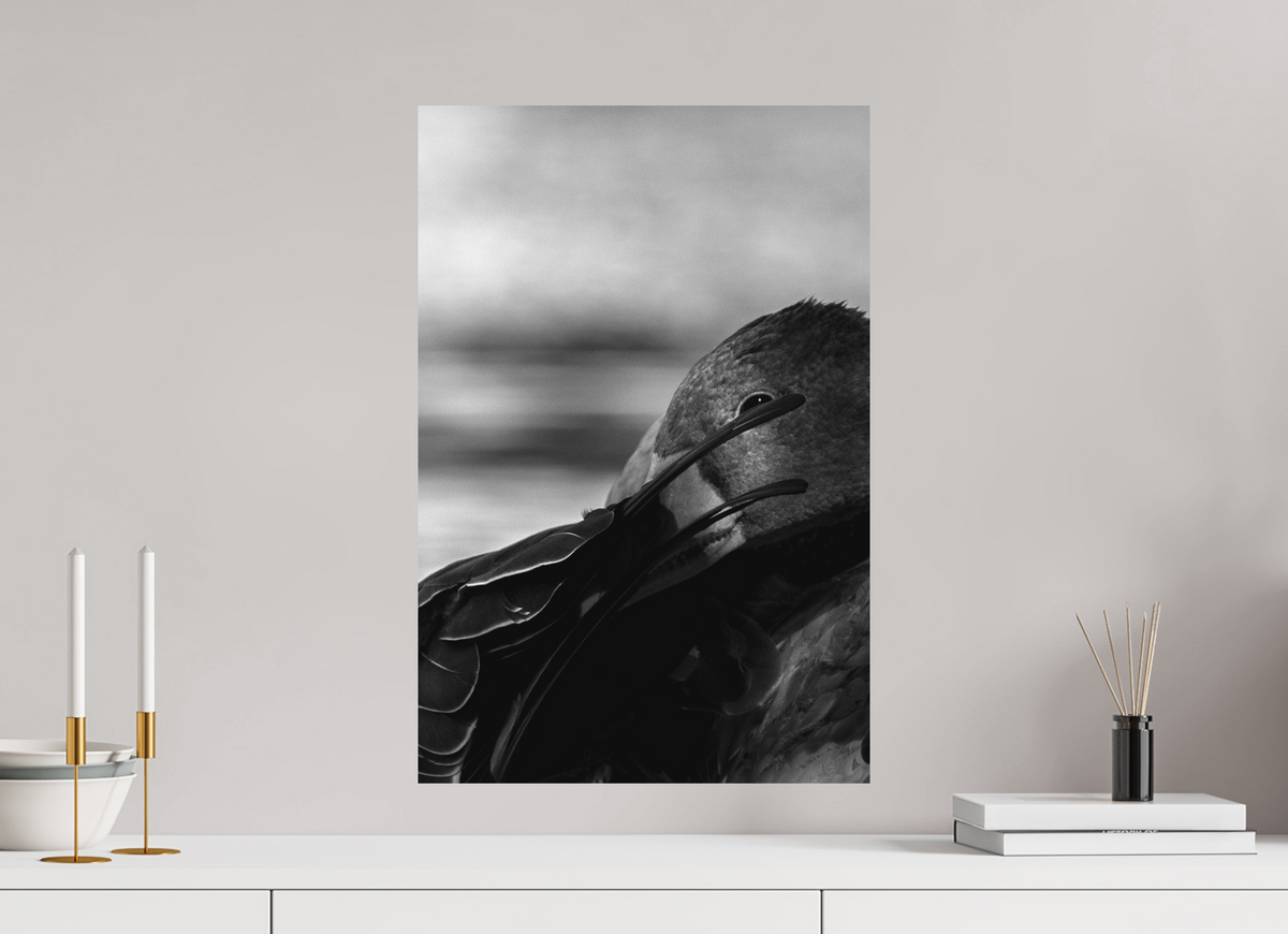 40 x 60 cm, Hahnemühle Fine Art Paper Grey Goose