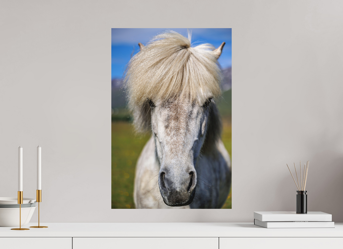 40 x 60 cm, Hahnemühle Fine Art Paper Horse Portrait