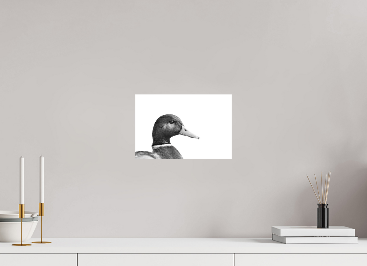 30 x 20 cm, Hahnemühle Fine Art Paper Mallard