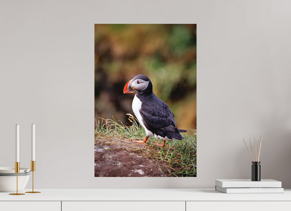40 x 60 cm, Hahnemühle Fine Art Paper Puffin