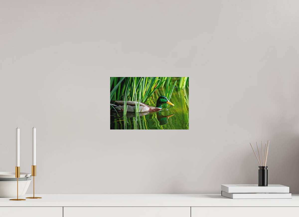 30 x 20 cm, Hahnemühle Fine Art Paper Mallard in Green