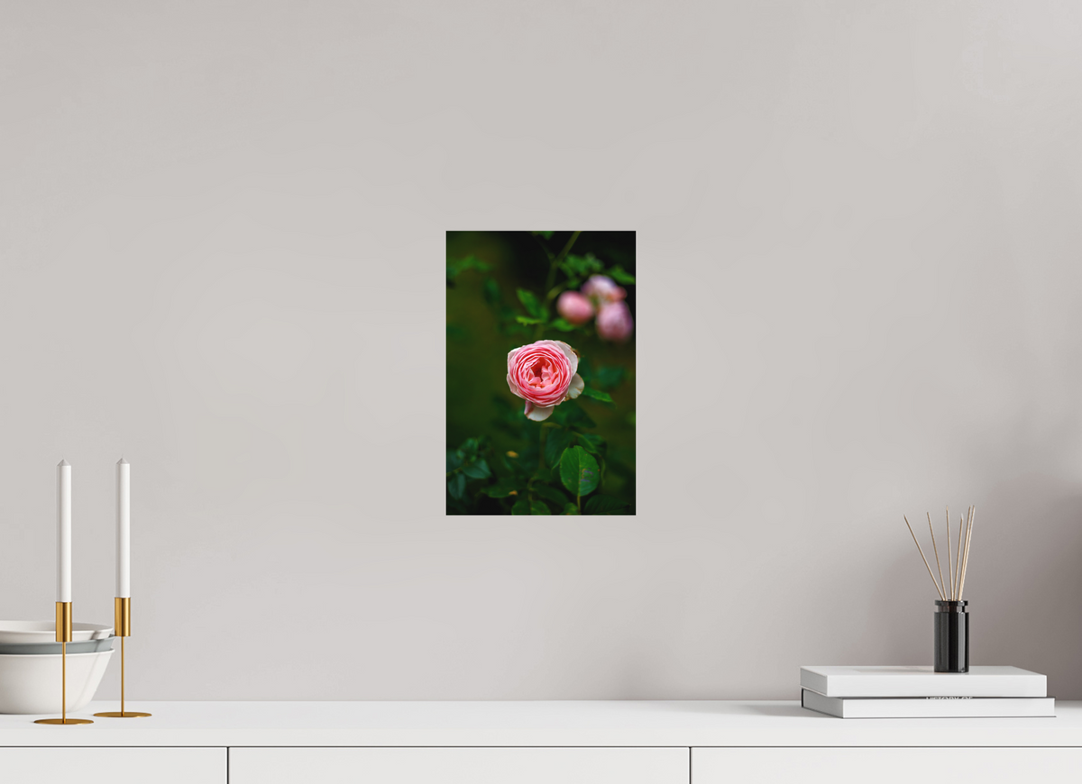 20 x 30 cm, Hahnemühle Fine Art Paper Pink Rose