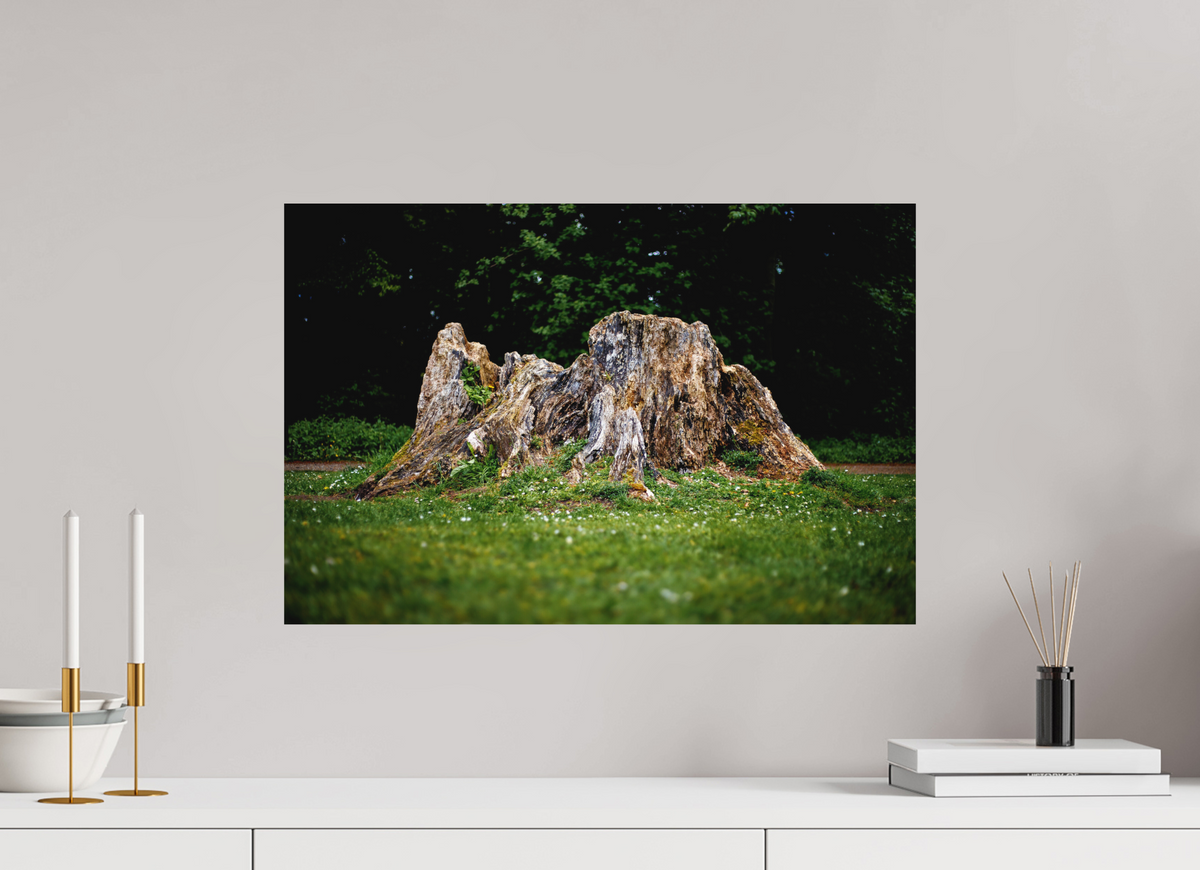60 x 40 cm, Hahnemühle Fine Art Paper Stump