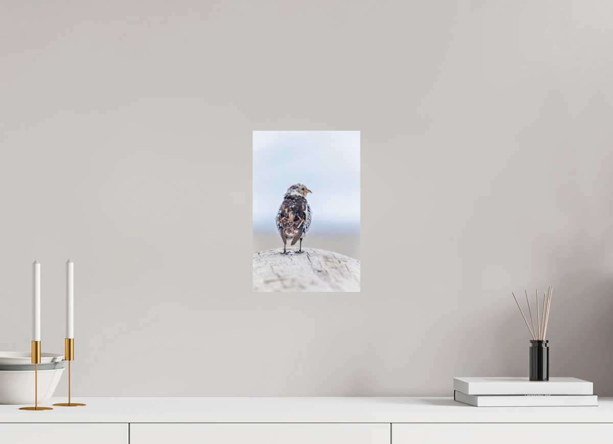 20 x 30 cm, Hahnemühle Fine Art Paper Snow Bunting