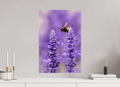 40 x 60 cm, Hahnemühle Fine Art Paper Lavender Bee