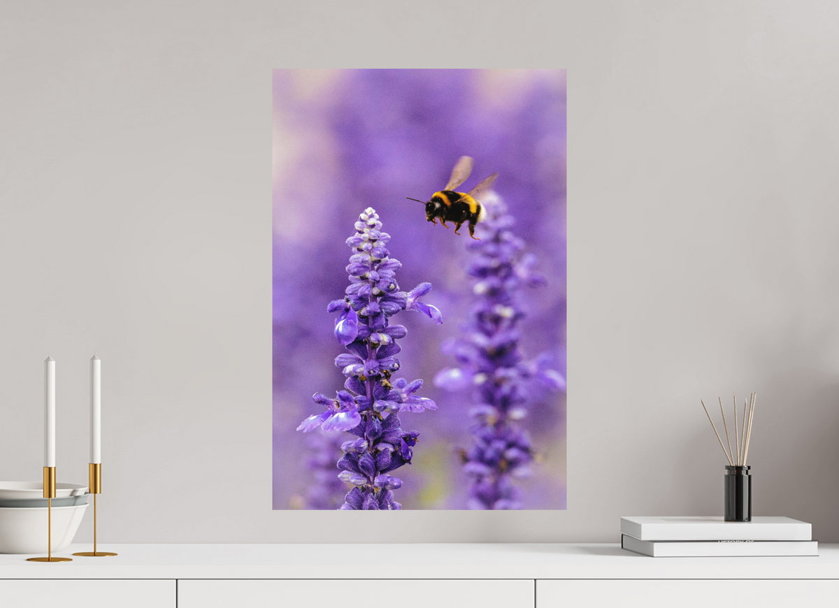 40 x 60 cm, Hahnemühle Fine Art Paper Lavender Bee