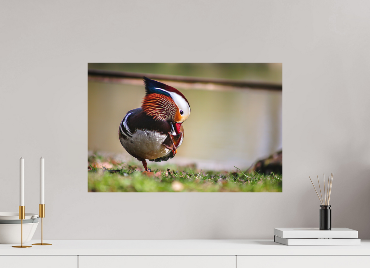 60 x 40 cm, Hahnemühle Fine Art Paper Mandarin