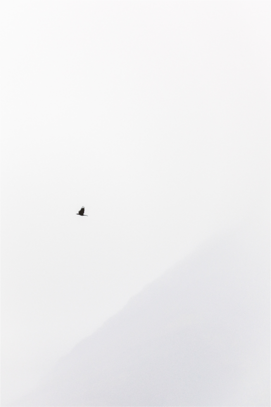 Main image Misty Mountains