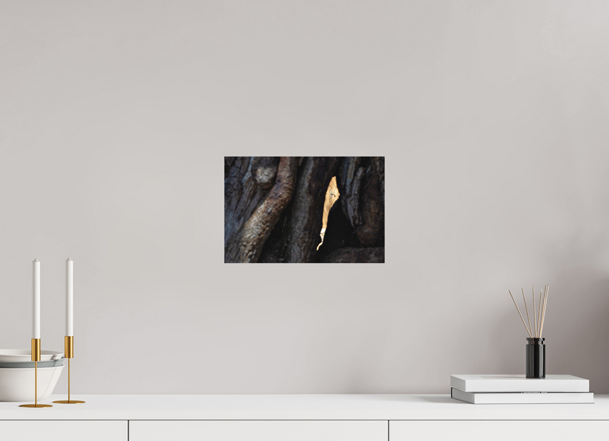 30 x 20 cm, Hahnemühle Fine Art Paper Entrance