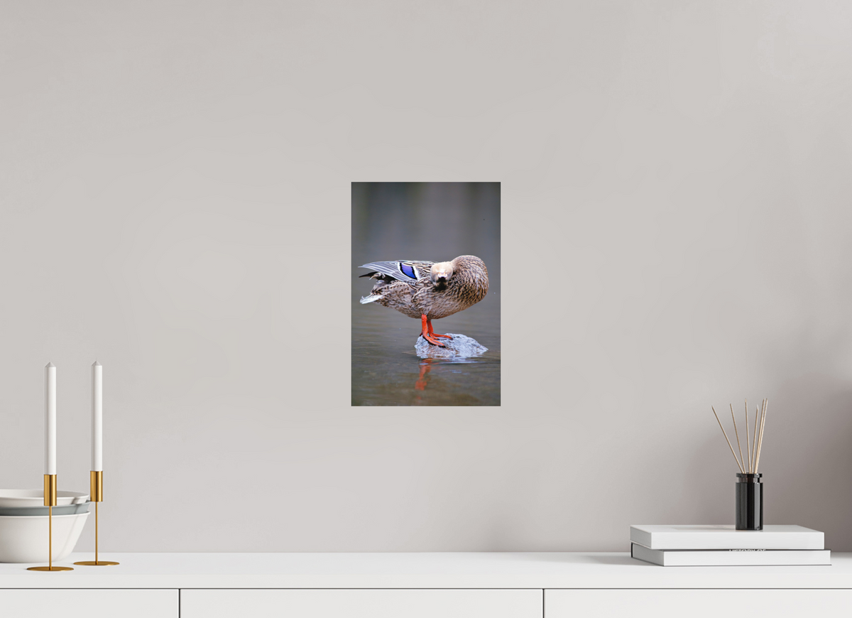 20 x 30 cm, Hahnemühle Fine Art Paper Upside Down