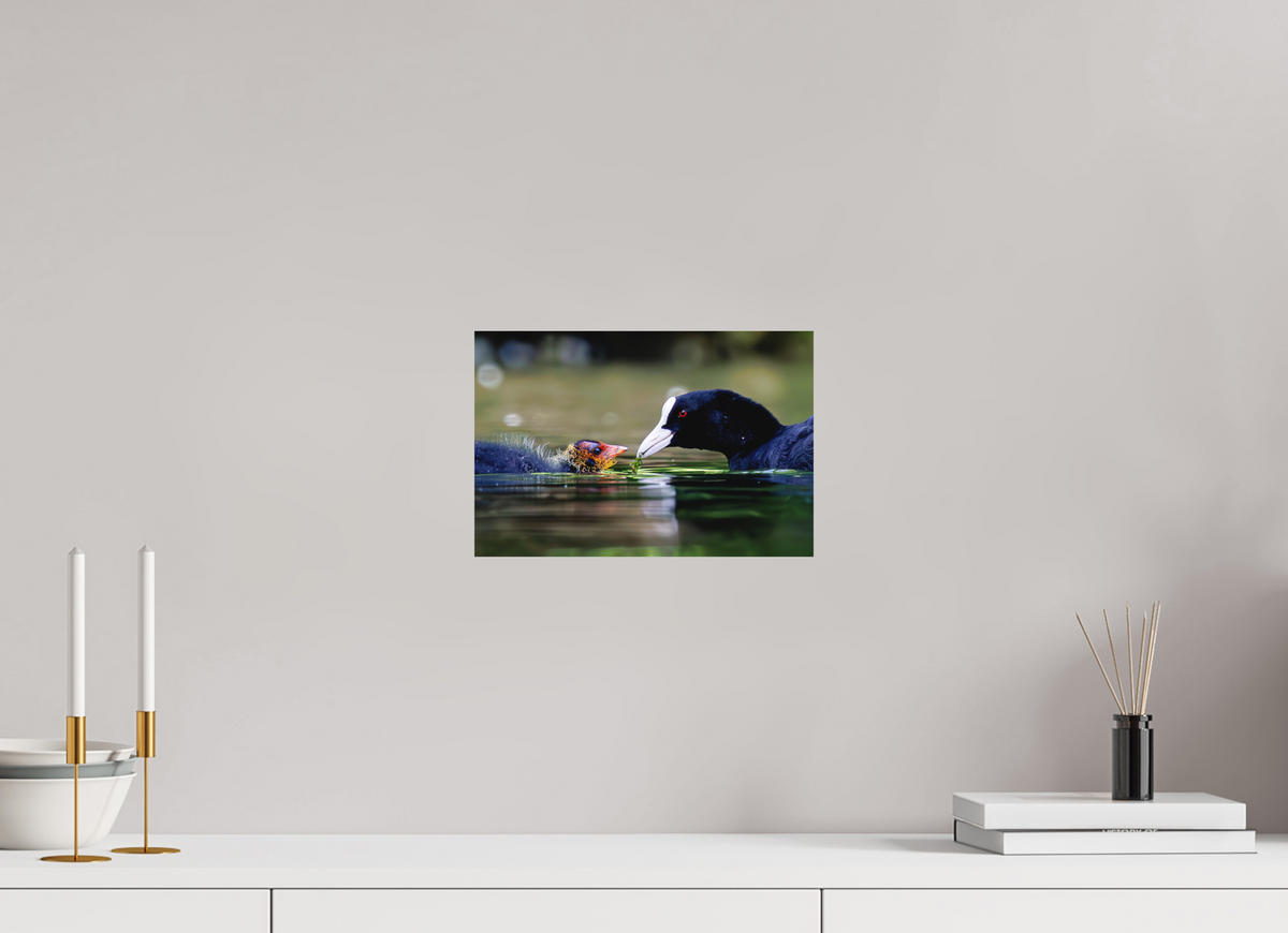 30 x 20 cm, Hahnemühle Fine Art Paper Family Bond