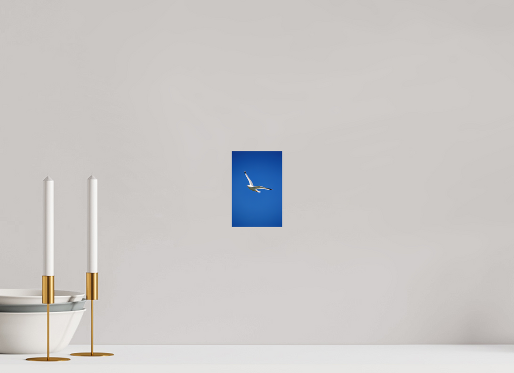 10 x 15 cm, Hahnemühle Fine Art Paper Seagull