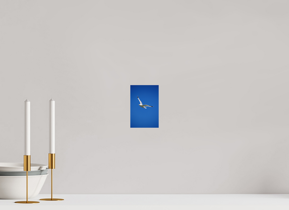 10 x 15 cm, Hahnemühle Fine Art Paper Seagull