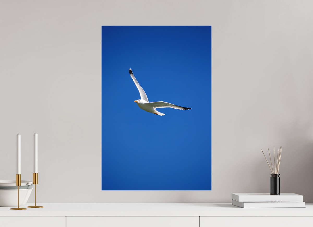 40 x 60 cm, Hahnemühle Fine Art Paper Seagull