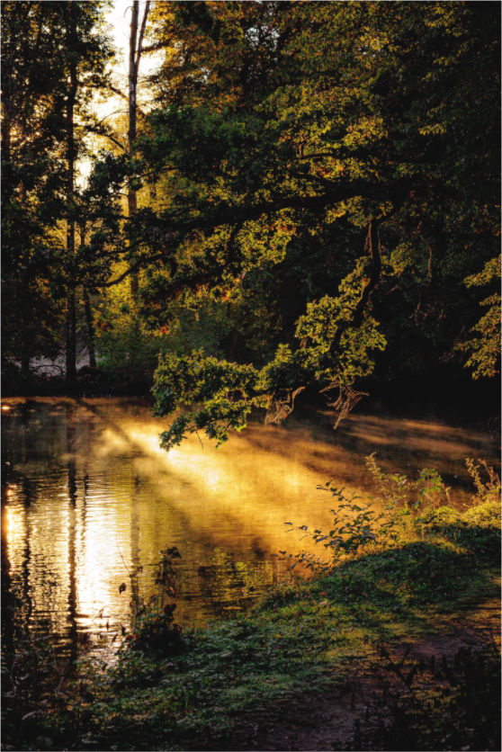 Main image Misty Sunrise