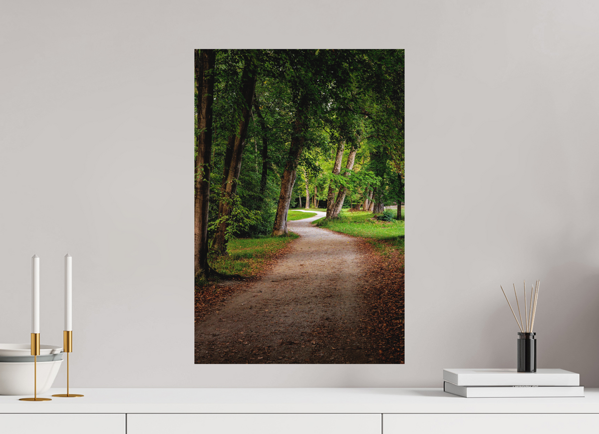 40 x 60 cm, Hahnemühle Fine Art Paper Forest Path